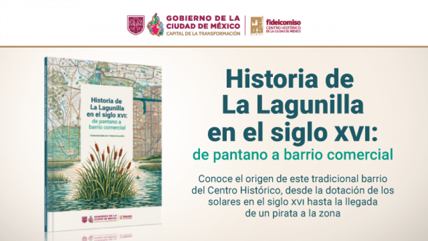 Historia de La Lagunilla en el siglo XVI: de pantano a barrio comercial